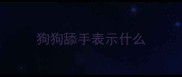 狗狗舔手表示什么