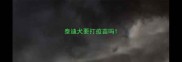 泰迪犬要打疫苗吗
