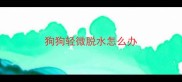 狗狗轻微脱水怎么办