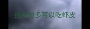 拉布拉多可以吃虾皮
