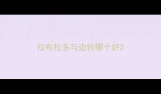 拉布拉多与边牧哪个好