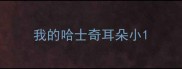 我的哈士奇耳朵小