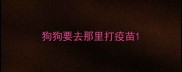 狗狗要去那里打疫苗