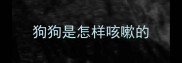 狗狗是怎样咳嗽的