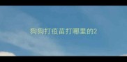 狗狗打疫苗打哪里的