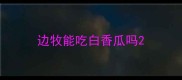 边牧能吃白香瓜吗