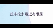 拉布拉多最近有眼屎