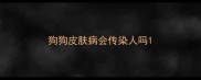 狗狗皮肤病会传染人吗