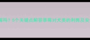 狗狗能吃草莓吗5个关键点解答草莓对犬类的利弊及安全食用指南
