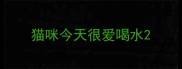 猫咪今天很爱喝水