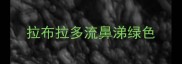 拉布拉多流鼻涕绿色