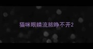 猫咪眼睛流脓睁不开