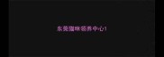 东莞猫咪领养中心