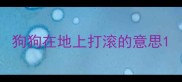 狗狗在地上打滚的意思