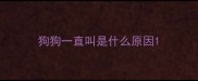 狗狗一直叫是什么原因