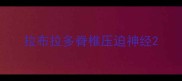 拉布拉多脊椎压迫神经