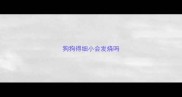 狗狗得细小会发烧吗