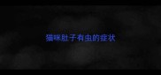 猫咪肚子有虫的症状