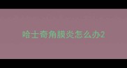 哈士奇角膜炎怎么办