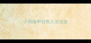 小狗指甲划伤人没出血