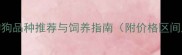 最新全宠物狗品种推荐与饲养指南附价格区间及选购技巧