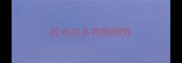 拉布拉多狗狗例假