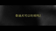 泰迪犬可以吃桃吗