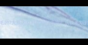 边牧频繁掉毛的7大原因及科学应对指南从换毛期到饮食管理全