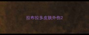 拉布拉多皮肤外伤