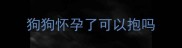 狗狗怀孕了可以抱吗