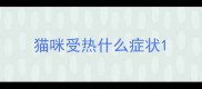 猫咪受热什么症状