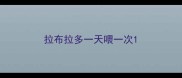 拉布拉多一天喂一次