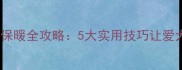 小泰迪冬季保暖全攻略5大实用技巧让爱犬温暖过冬