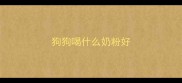 狗狗喝什么奶粉好