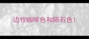 边牧咖啡色和陨石色