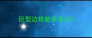 巨型边牧能长多大