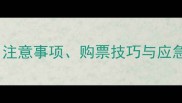 带猫咪坐大巴全攻略注意事项购票技巧与应急方案附专家建议