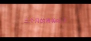 三个月的博美吐了