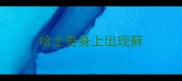 哈士奇身上出现藓