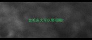 金毛多大可以带项圈