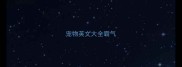 宠物英文大全霸气