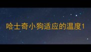 哈士奇小狗适应的温度