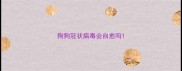 狗狗冠状病毒会自愈吗