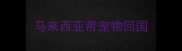 马来西亚带宠物回国