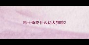 哈士奇吃什么幼犬狗粮