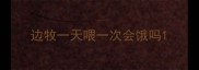 边牧一天喂一次会饿吗