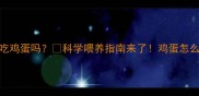 幼犬2个月能吃鸡蛋吗科学喂养指南来了鸡蛋怎么喂最安全