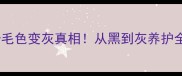 哈士奇毛色变灰真相从黑到灰养护全攻略