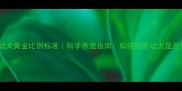 拉布拉多幼犬黄金比例标准科学养宠指南如何判断幼犬是否健康发育