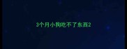 3个月小狗吃不了东西